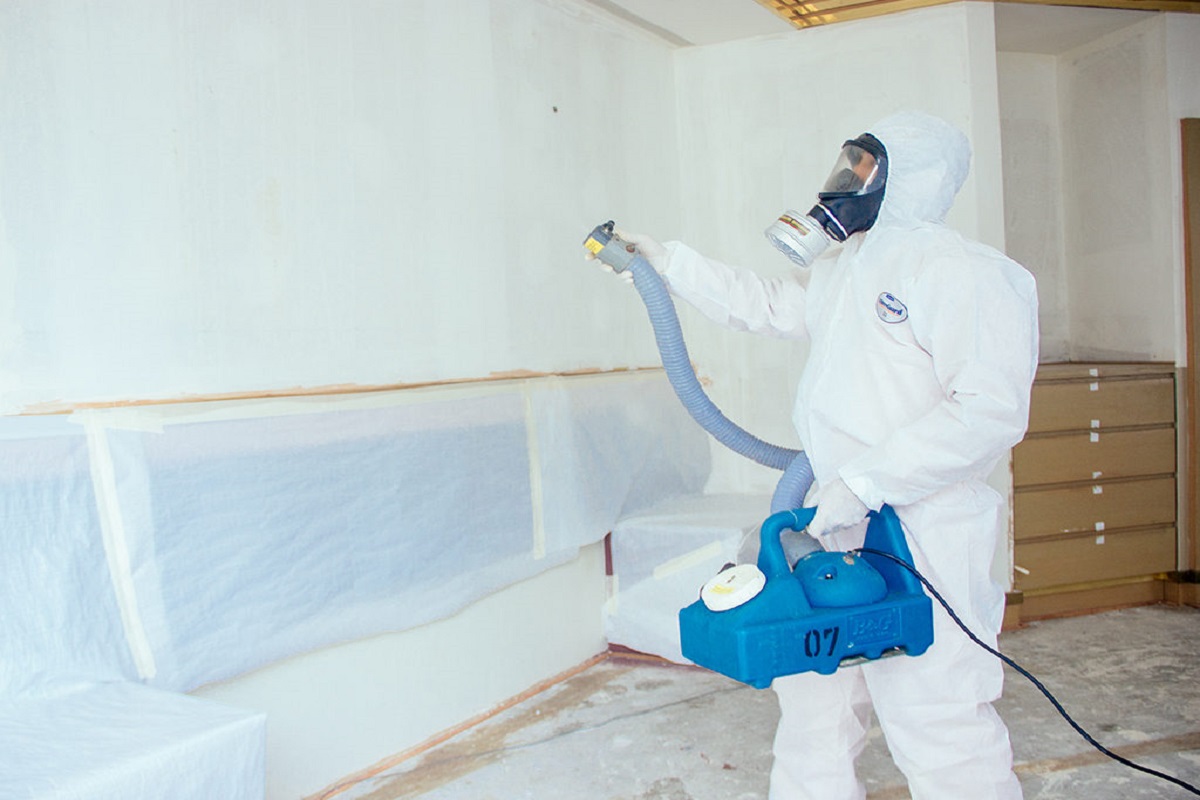 Mold Inspection & Removal service