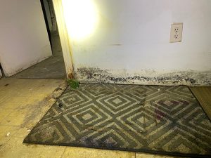 Mold Inspection & Removal service