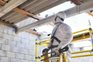 Asbestos Inspection