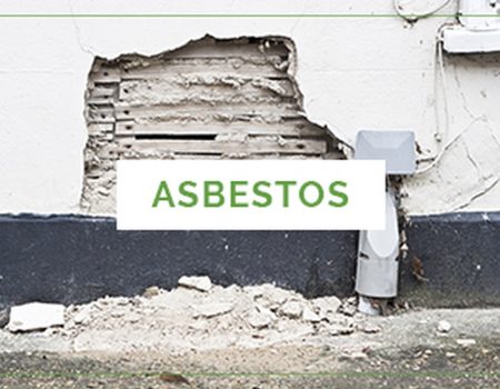 Asbestos Removal Services